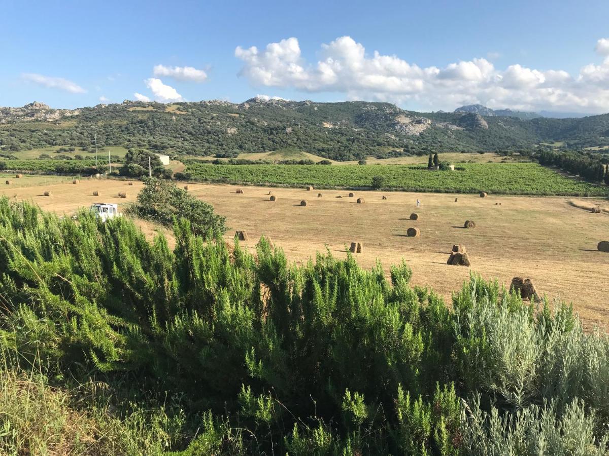 San Leonardo Country House Calangianus Екстериор снимка