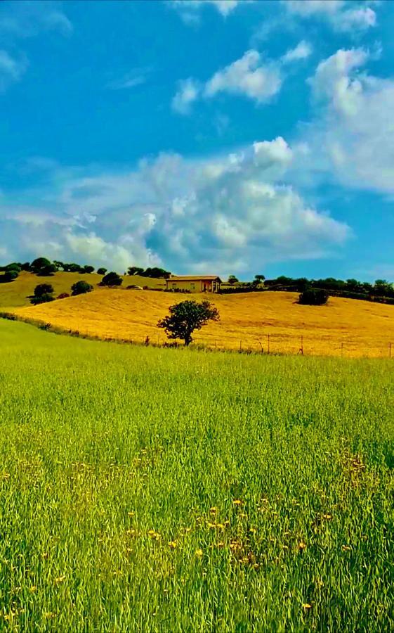 San Leonardo Country House Calangianus Екстериор снимка
