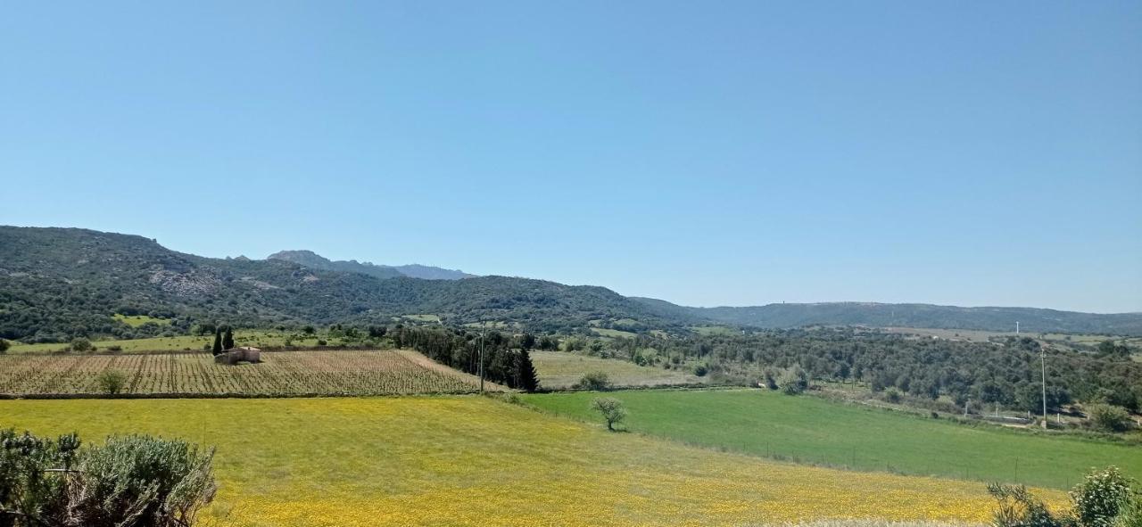 San Leonardo Country House Calangianus Екстериор снимка